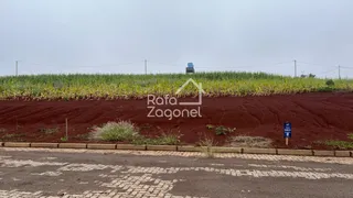Terreno, foto 5