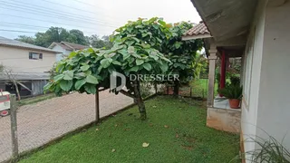 Fachada de uma casa com jardim gramado e grande árvore.