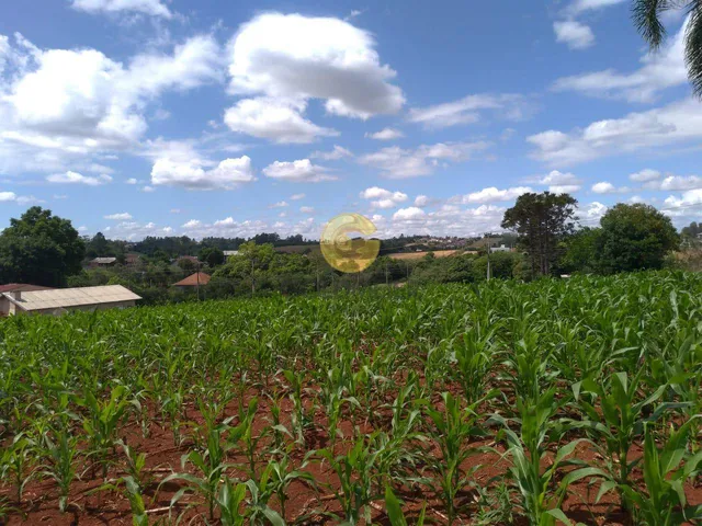 Imóvel, foto 3