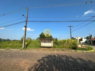 Terreno, foto 1