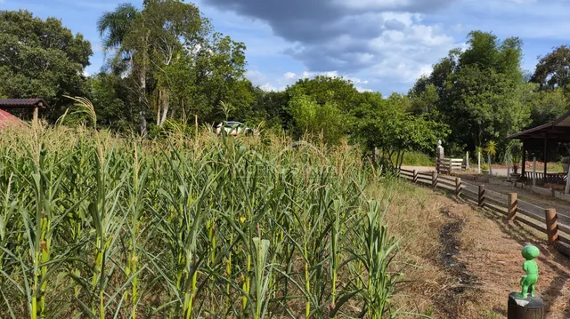 Área rural, foto 5