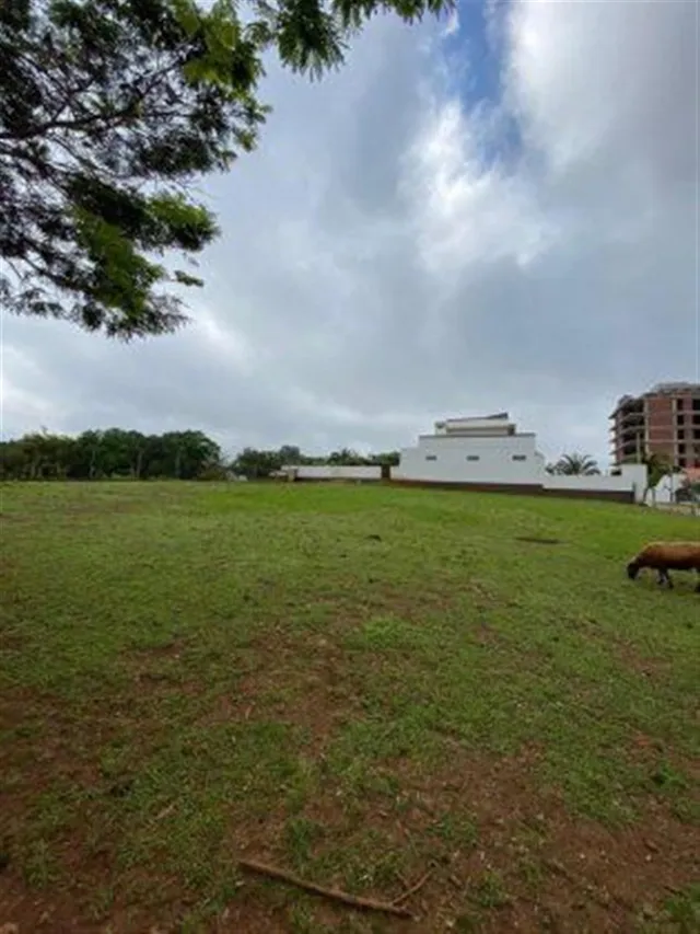 Terreno, foto 2