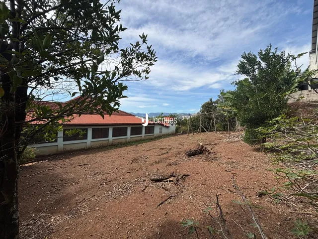 Vista externa da propriedade com vegetação densa e solo de terra batida.