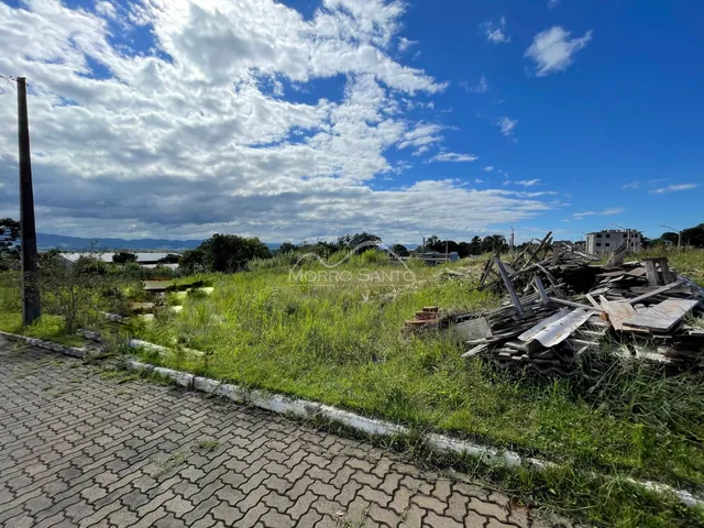 Vista externa de uma área com vegetação densa e paisagem de fundo em Lajeado, Brasil.