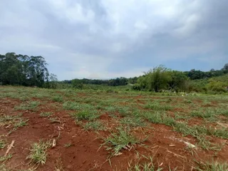 Terreno, foto 3
