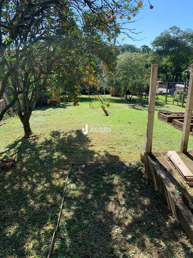 Terreno, foto 5