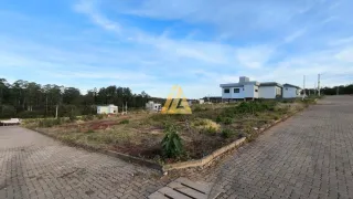 Terreno, foto 1