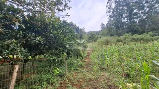Área rural, foto 20