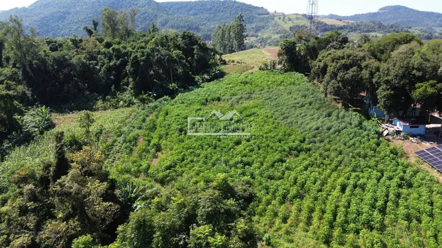 Área rural, foto 3