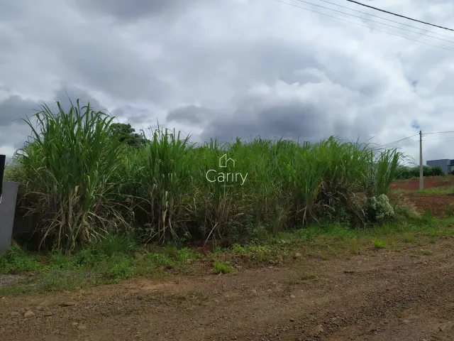 Terreno, foto 2