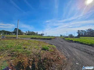 Terreno, foto 3