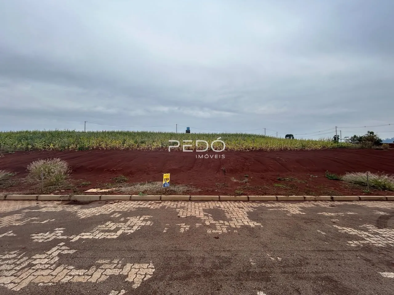 Vista da propriedade com campo de cultivo ao fundo.