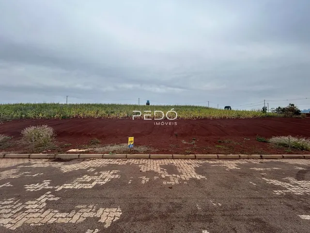 Vista da propriedade com campo de cultivo ao fundo.