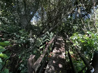 Área rural, foto 5