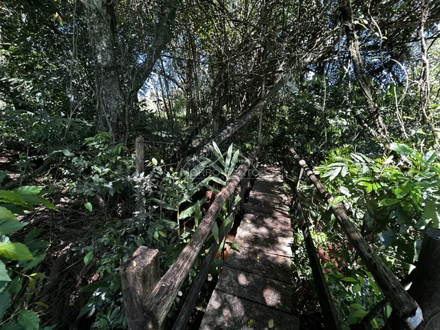 Área rural, foto 5