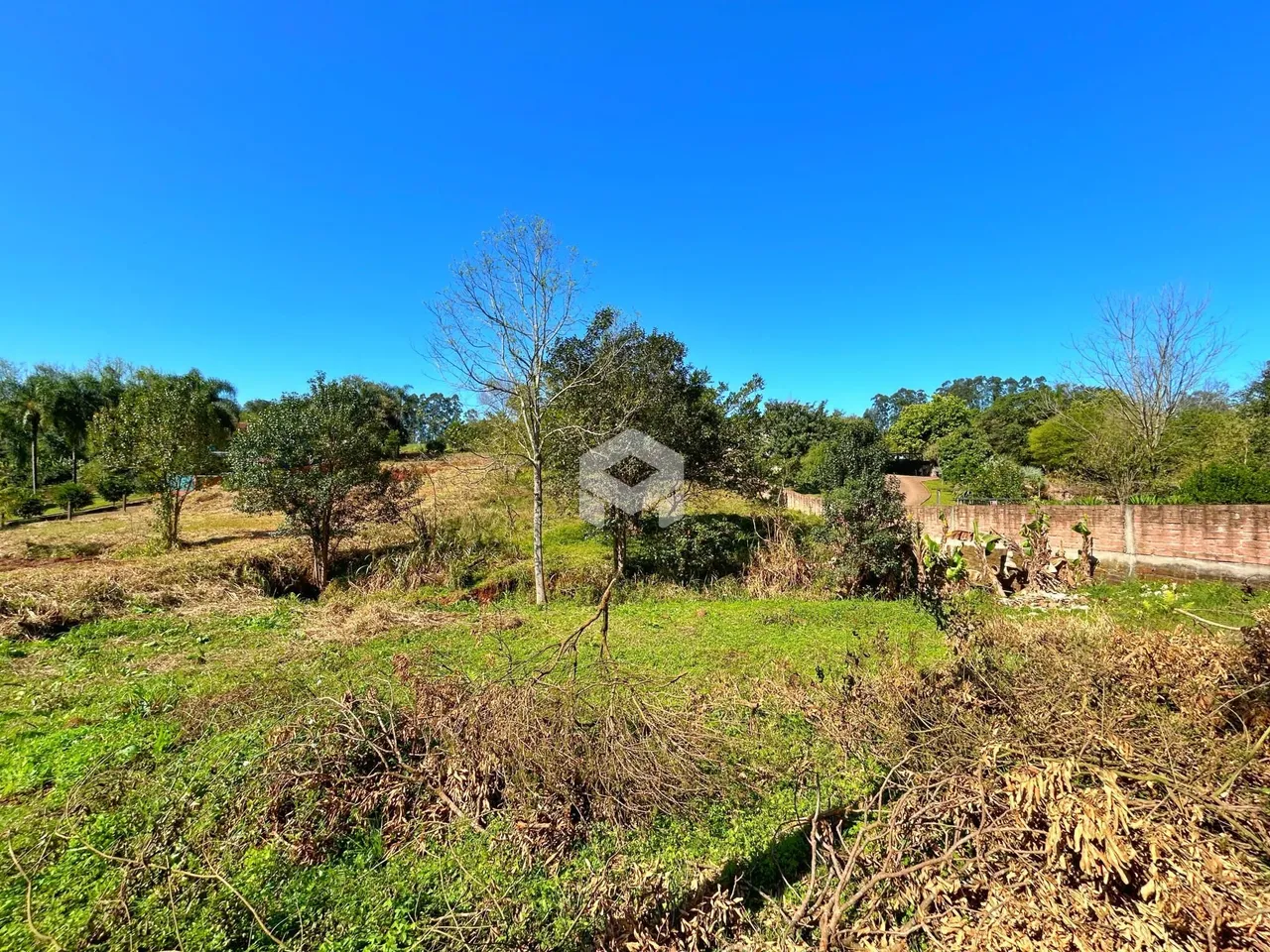Paisagem de campo com vegetação seca e cerca no fundo.