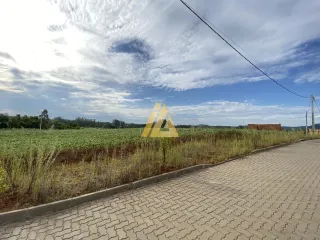 Terreno, foto 6