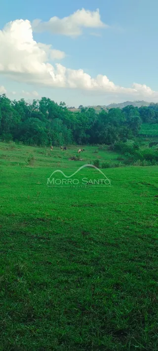 Paisagem de campo verde com árvores ao fundo em Lajeado, Brasil.