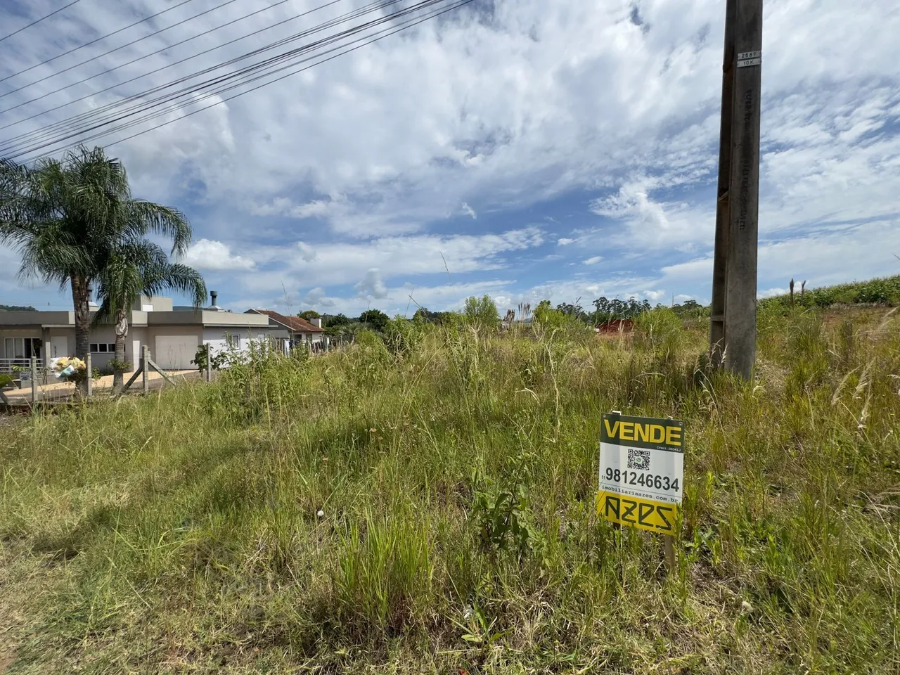 Vista externa de uma propriedade com vegetação alta em Lajeado.