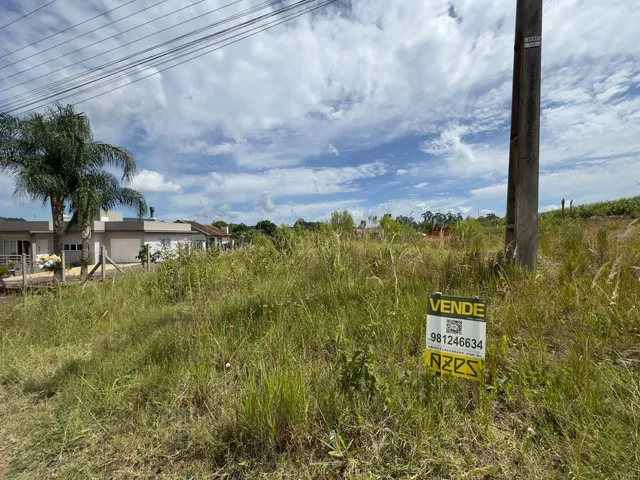 Vista externa de uma propriedade com vegetação alta em Lajeado.
