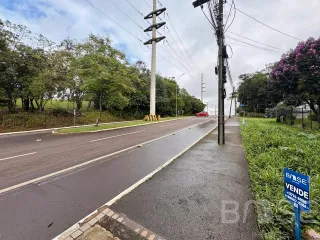 Terreno, foto 5