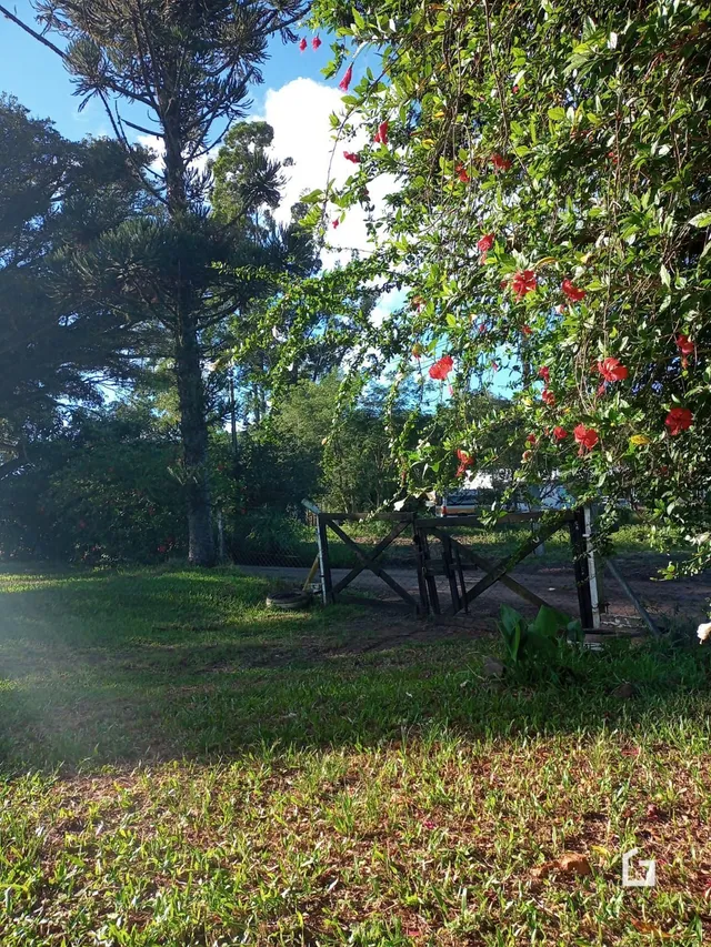 Um gramado com árvores e uma cerca de madeira no quintal.