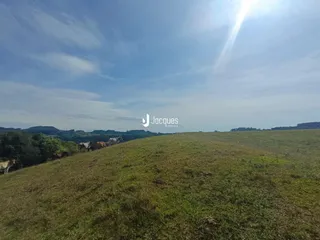 Paisagem de campo verde com gado pastando em uma colina.
