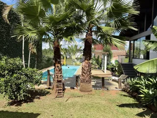 Casa com 3 dormitórios, foto 9