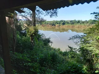 Vista de um rio com vegetação densa na paisagem.