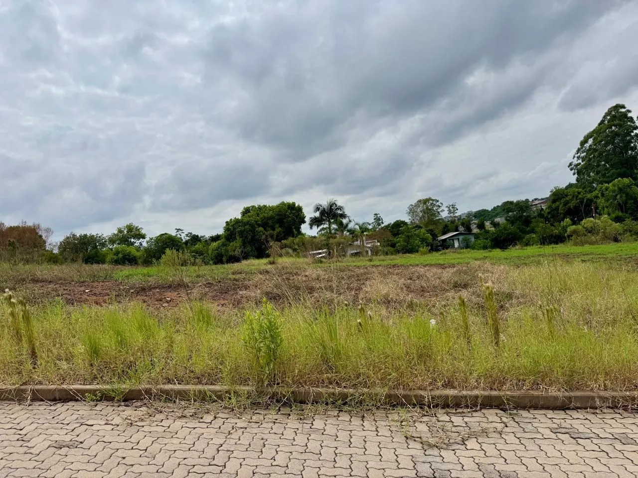 Terreno, foto 1