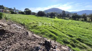 Área rural com 3 dormitórios, foto 7