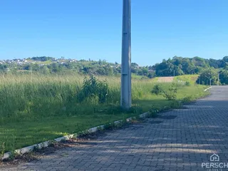 Terreno, foto 4