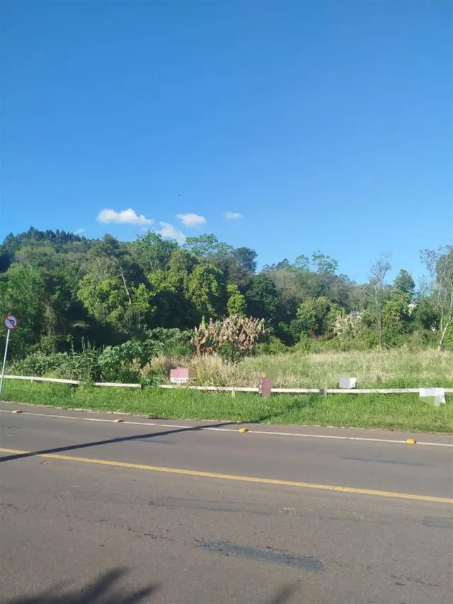 Terreno, foto 3