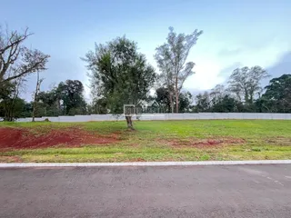 Terreno, foto 3
