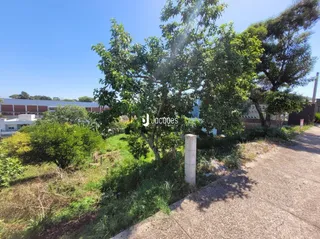 Terreno, foto 6