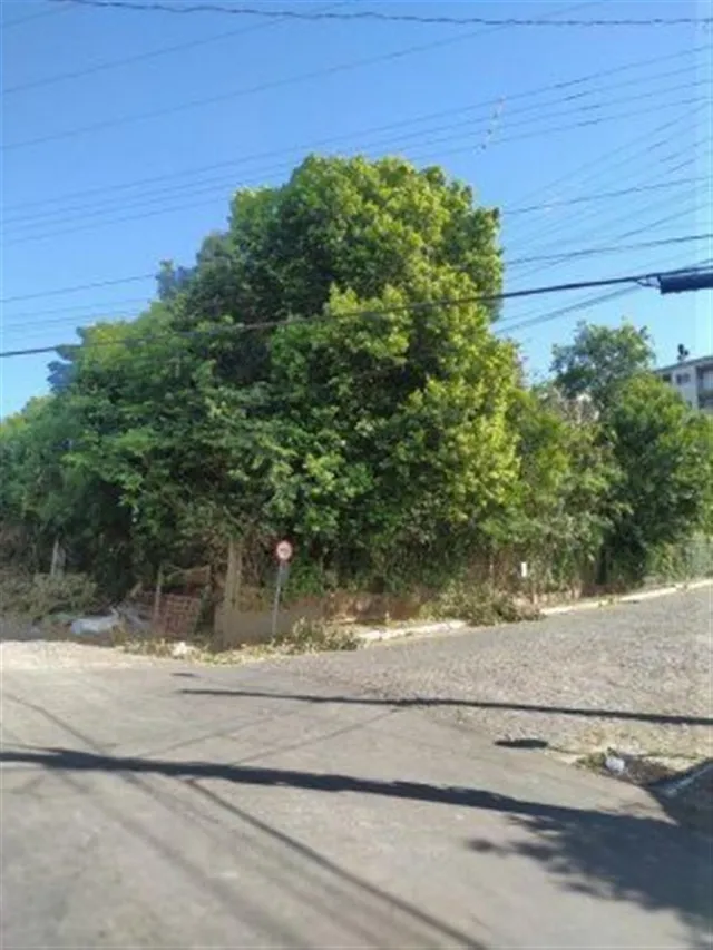 Terreno