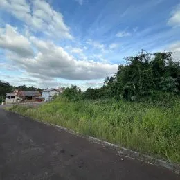 Terreno, foto 3