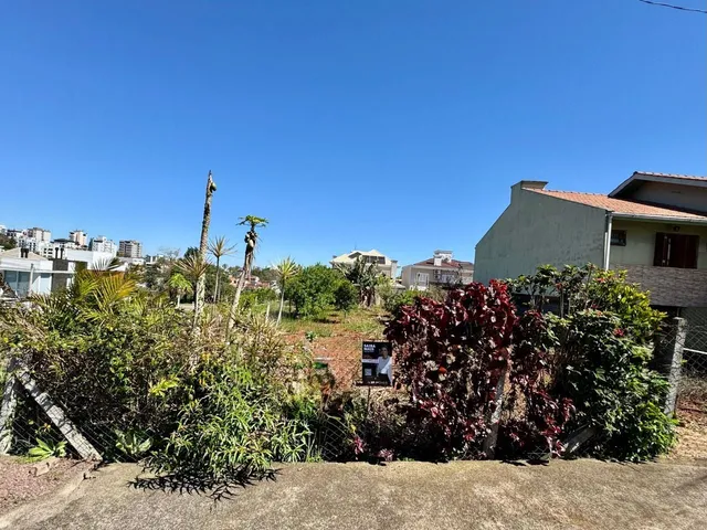 Terreno