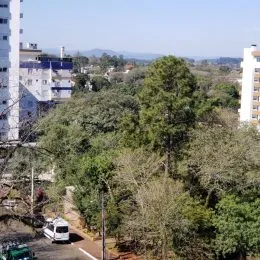 Vista externa mostrando vegetação densa em uma área residencial.