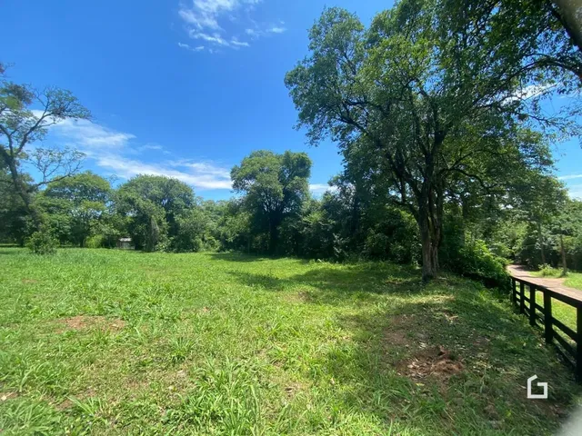 Campo verde com vegetação e árvores sob um céu azul.
