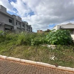 Vista externa de um terreno com vegetação alta e área pavimentada.