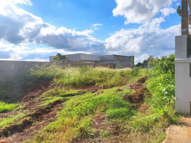 Terreno, foto 2