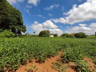 Terreno, foto 5