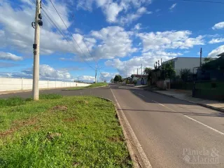 Vista externa de uma rua com gramado e céu azul em Lajeado.