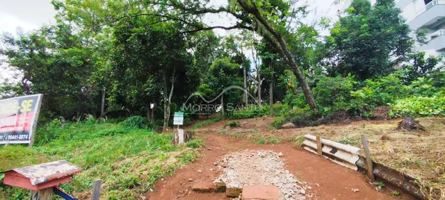 Vista externa de um terreno com vegetação densa e um caminho de terra.