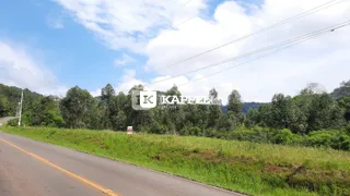 Vista da estrada com vegetação densa ao fundo.