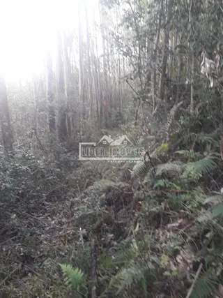 Área rural, foto 4