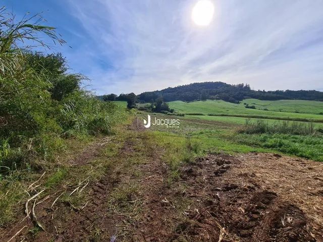 Terreno com vegetação e campos verdes ao fundo.