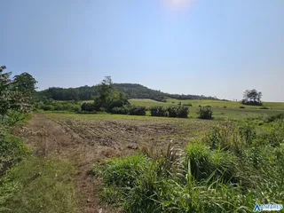 Área rural com 3 dormitórios, foto 5