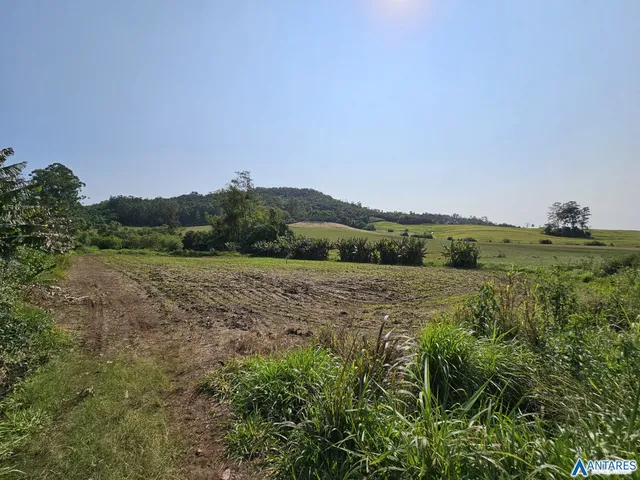 Área rural com 3 dormitórios, foto 5